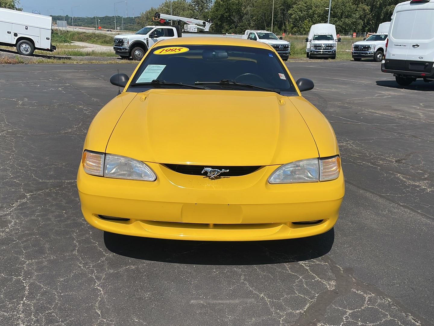 Used 1995 Canary Yellow Ford GT image 8