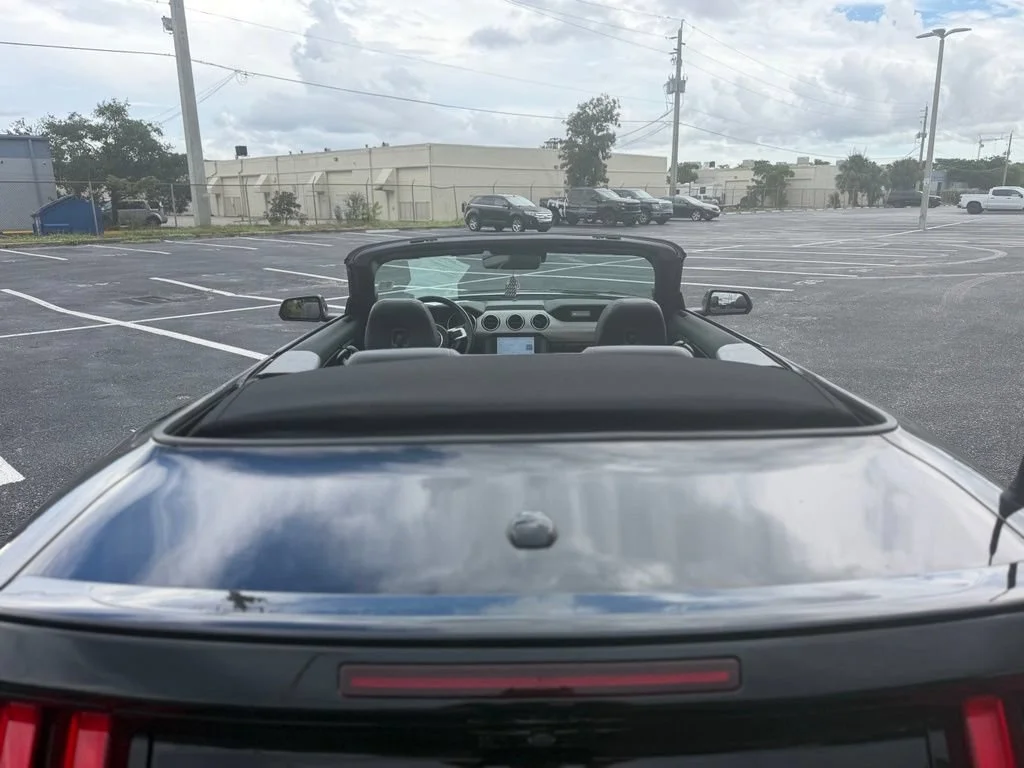 Used 2023 Black Ford EcoBoost Premium Convertible image 9
