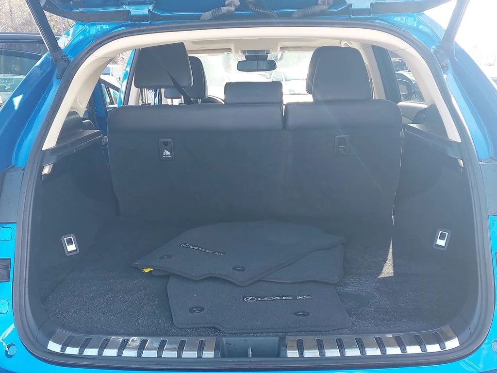 Used 2019 Blue Lexus 300 Base image 12