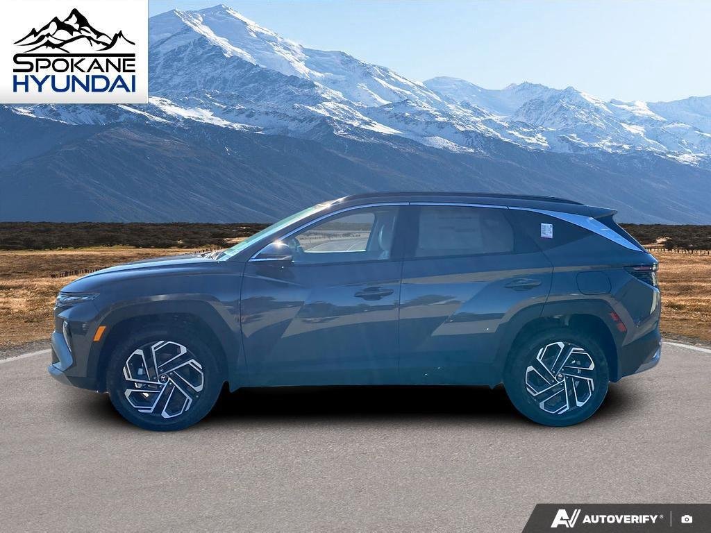 New 2026 Ecotronic Gray Hyundai Limited image 2