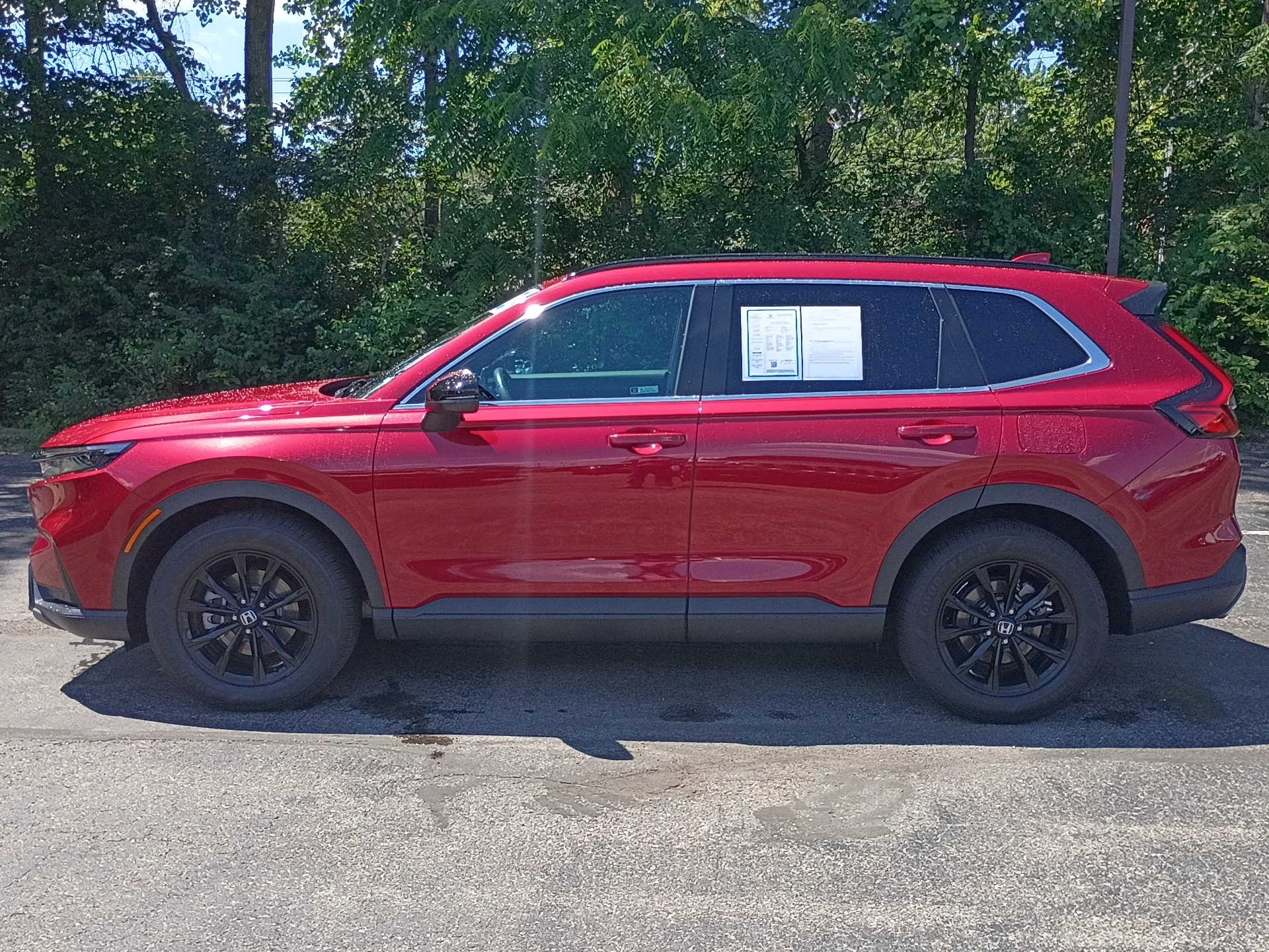 Certified Used 2024 Radiant Red Metallic Honda Sport-L image 6