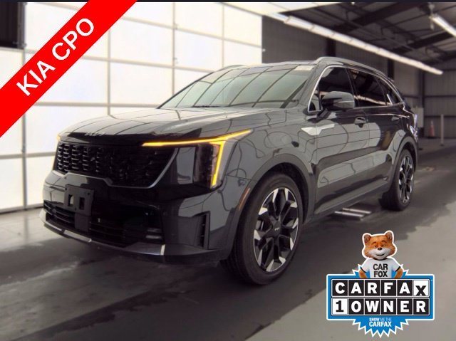 Used 2025 Panthera Metal Kia SX image 1