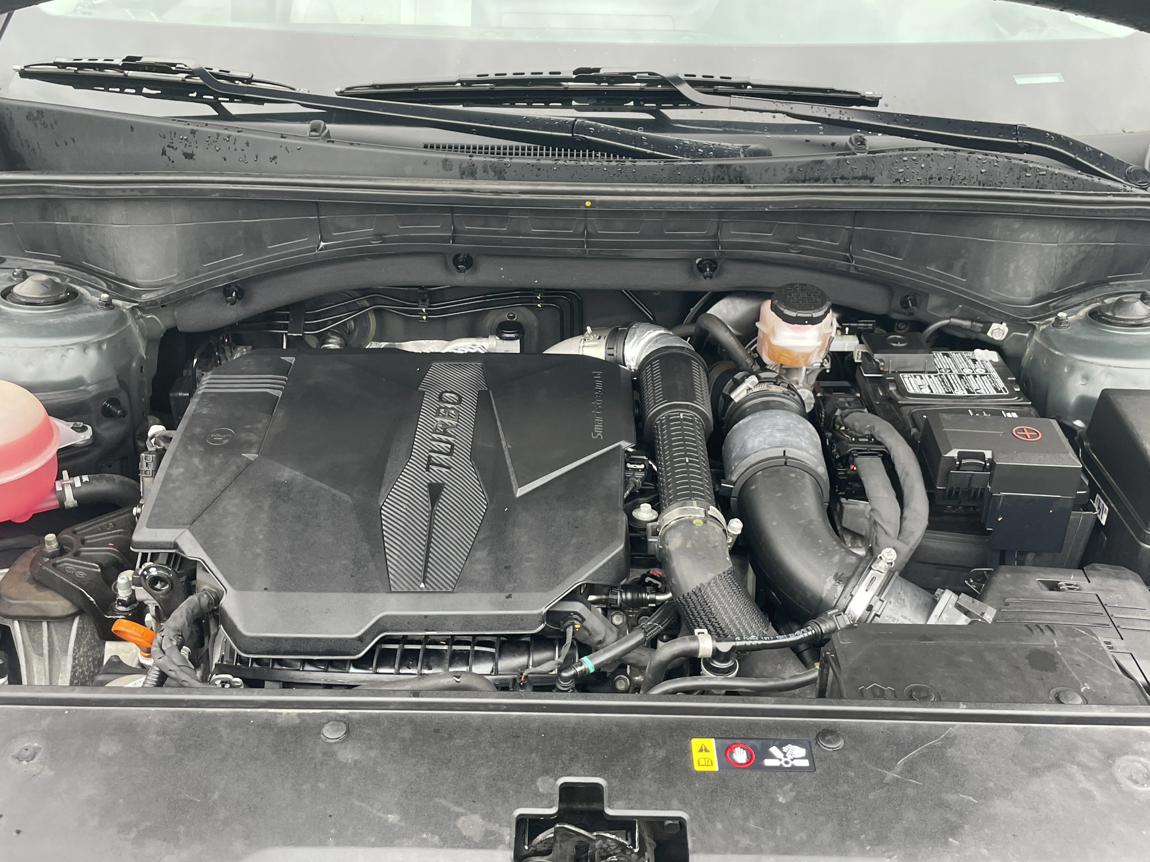 Used 2023 Aruba Green Kia X-Line EX image 29