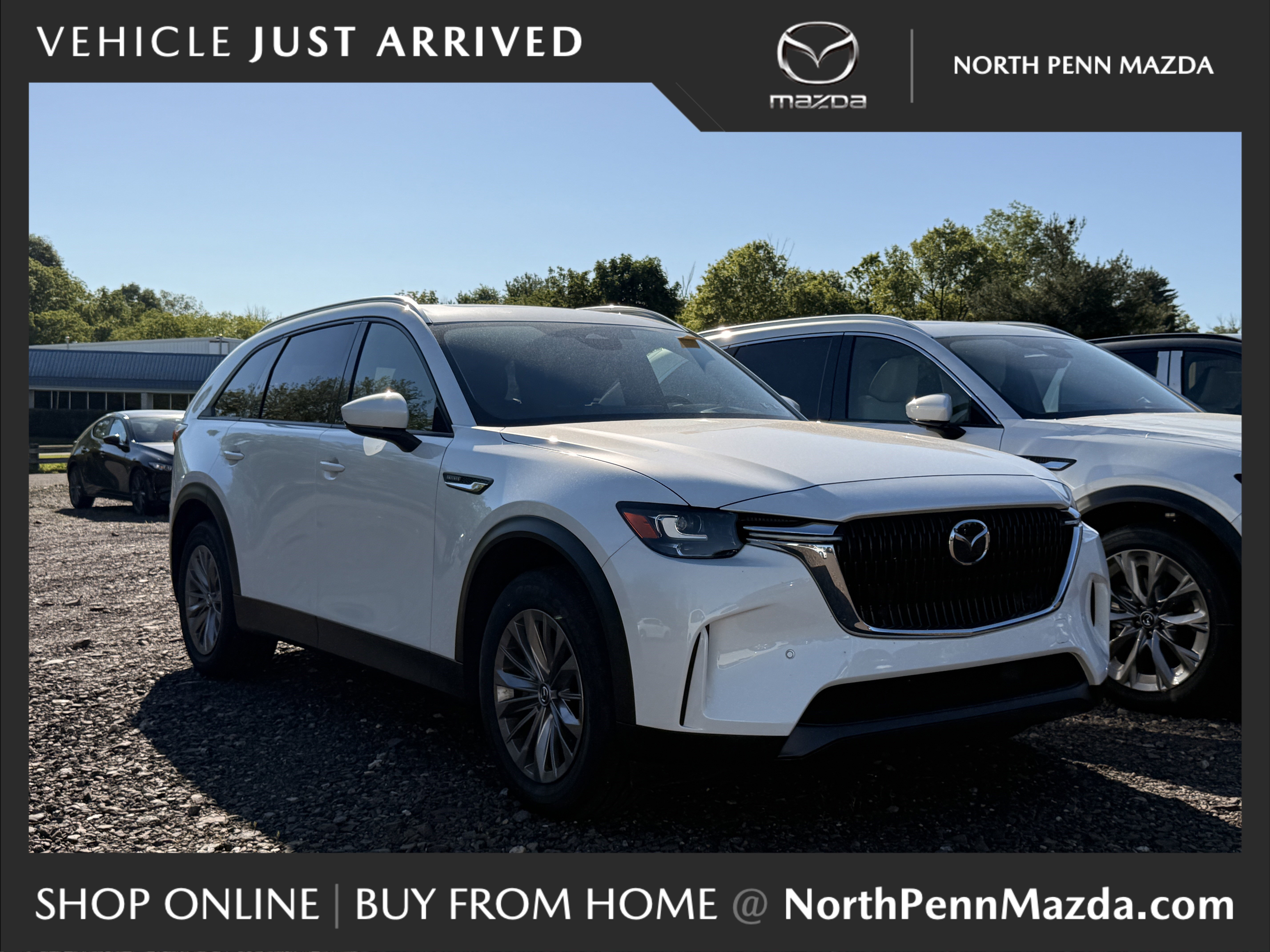 2025 Mazda CX-90 Turbo Preferred Package's photo