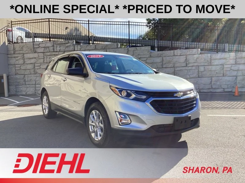 Used 2019 Silver Chevrolet LS image 1