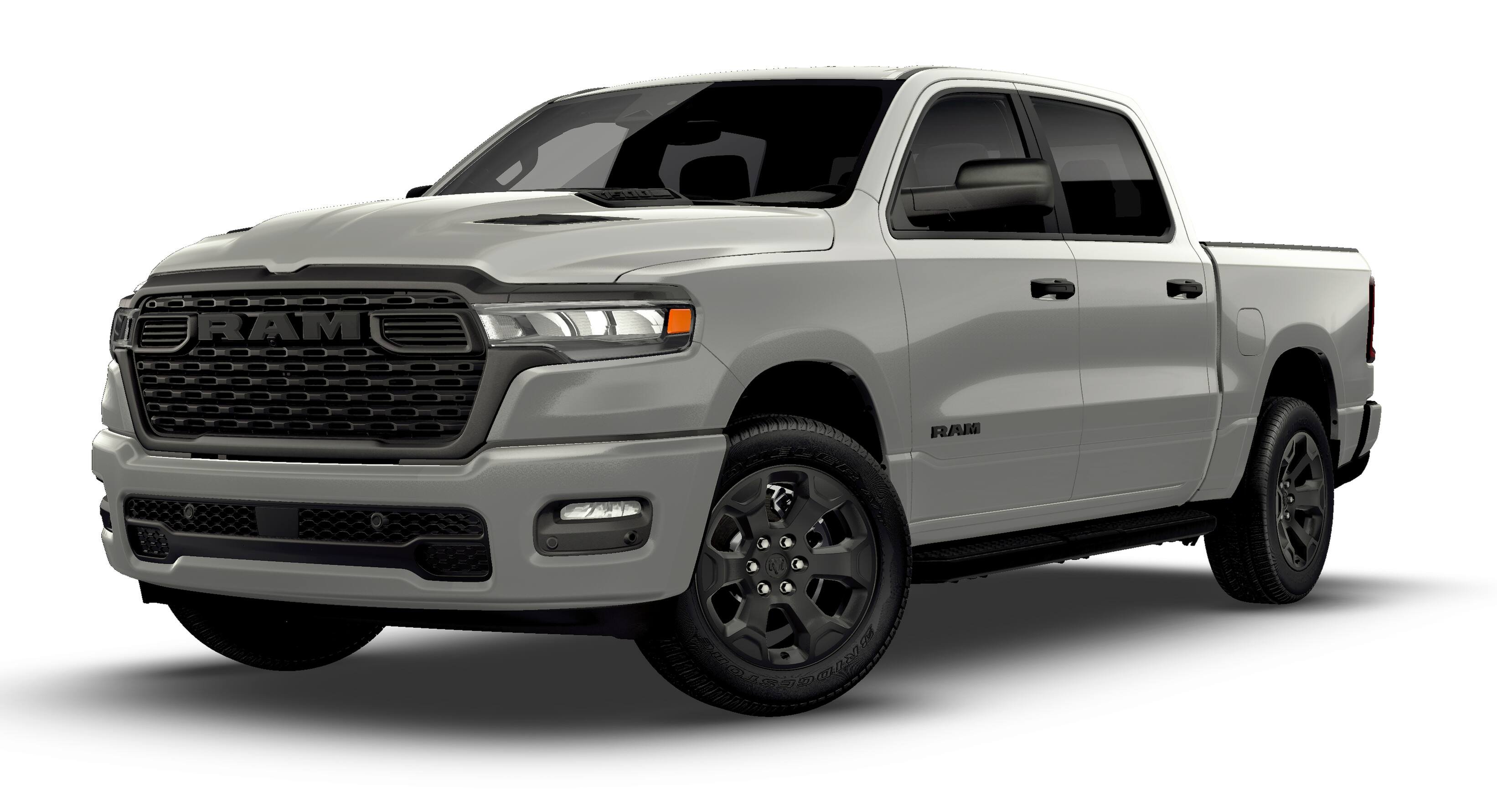 New 2026 Silver Zynith Exterior Paint RAM  image 13