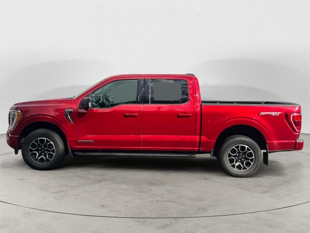 Used 2022 Rapid Red Metallic Tinted Clearcoat Ford XLT image 8