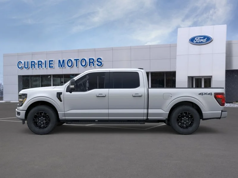 New 2026 Iconic Silver Metallic Ford LIFTED image 23