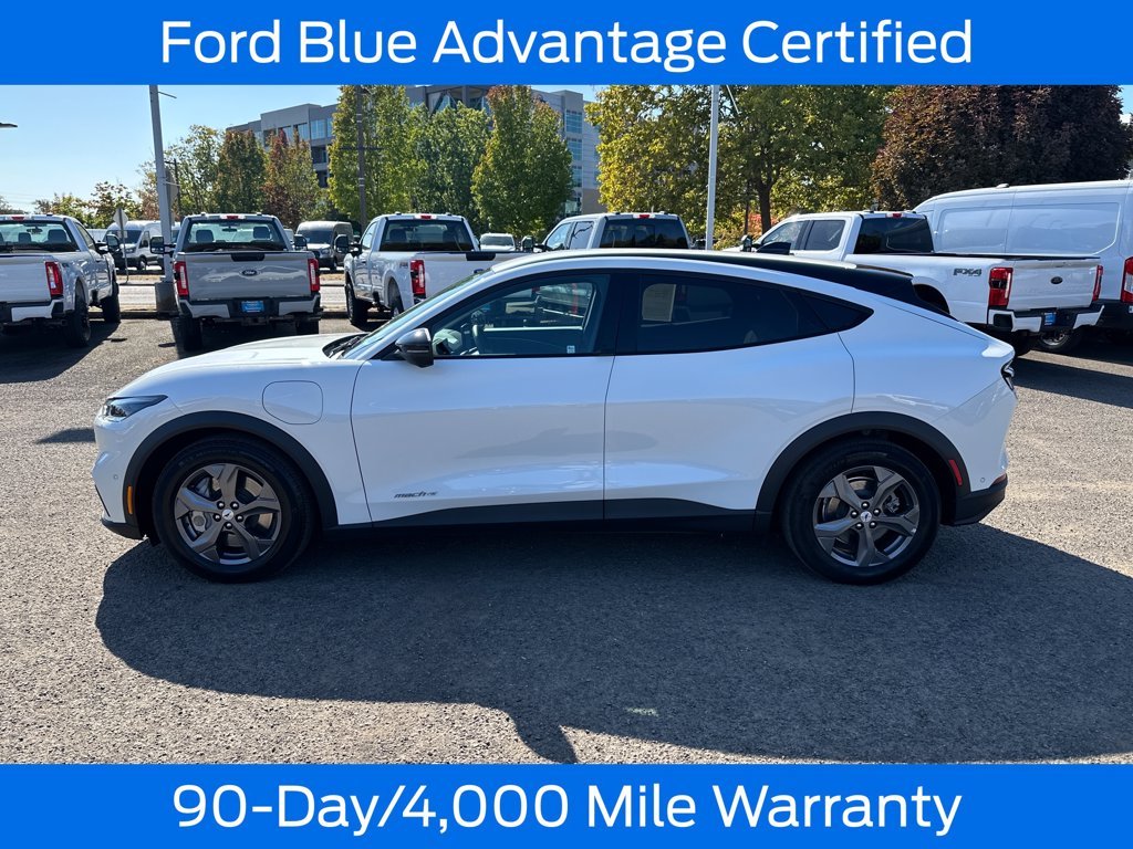 Used 2023 White Ford Select image 4