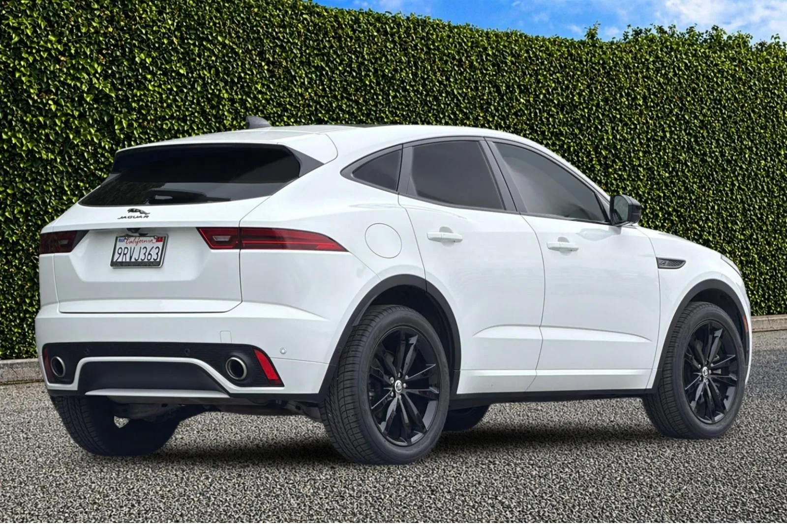 Used 2024 White Jaguar P250 image 4
