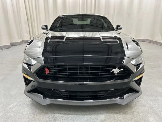 Used 2019 Black Ford GT Premium image 23