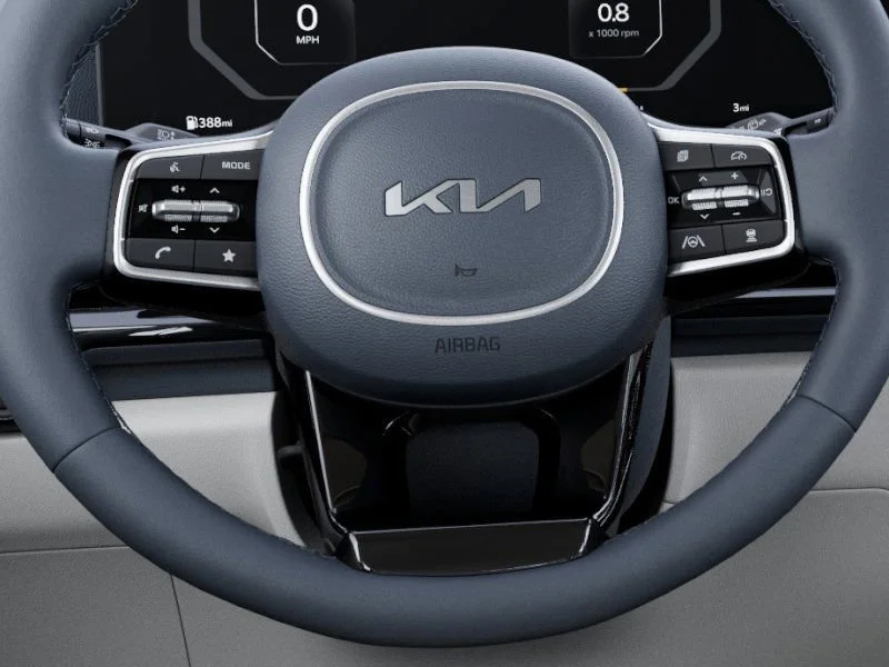 New 2025 Panthera Metal Kia SX Prestige image 22