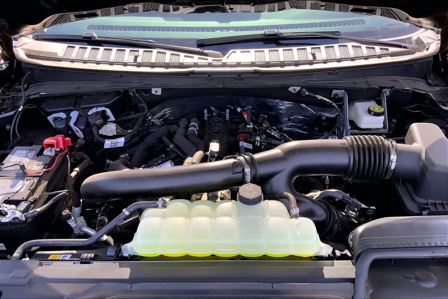 2025 Ford Expedition Active - Photo 16