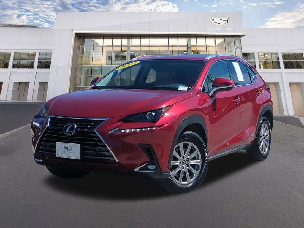 2019 Lexus NX 350h 300h AWD's photo