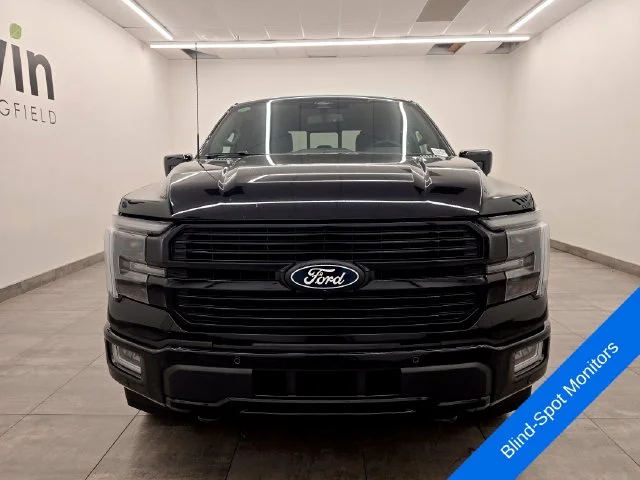 New 2026 Agate Black Metallic Ford Platinum® image 7