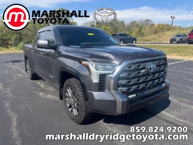 2022 Toyota Tundra Platinum