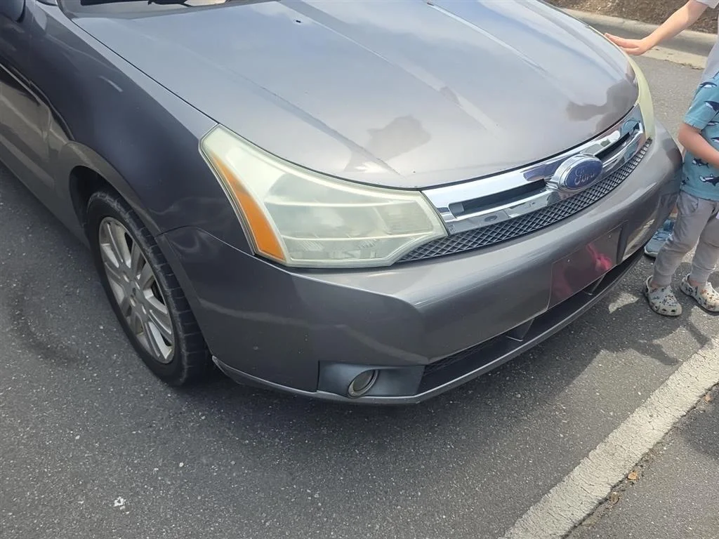 Used 2010 Sterling Gray Metallic Ford SEL image 7