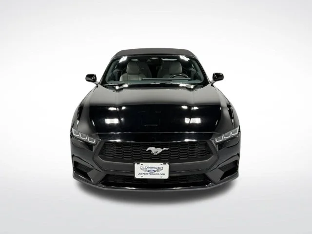 Used 2024 Black Ford EcoBoost Premium image 3