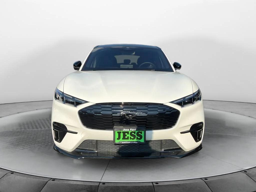 2025 Ford Mustang Mach-E GT - Photo 8
