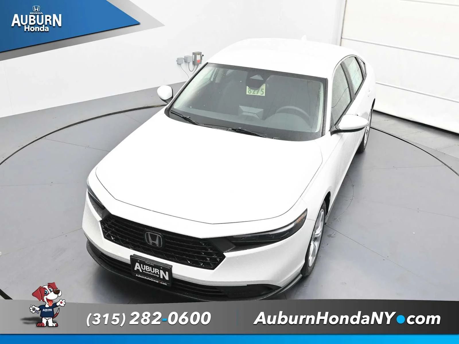 New 2025 Platinum White Pearl Honda LX image 25