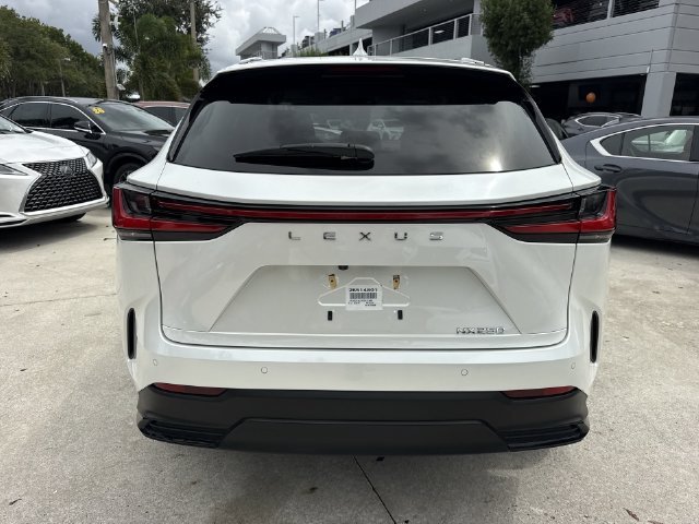 2025 Lexus NX 250 - Photo 24