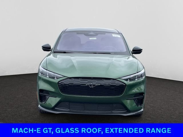 2025 Ford Mustang Mach-E GT - Photo 23