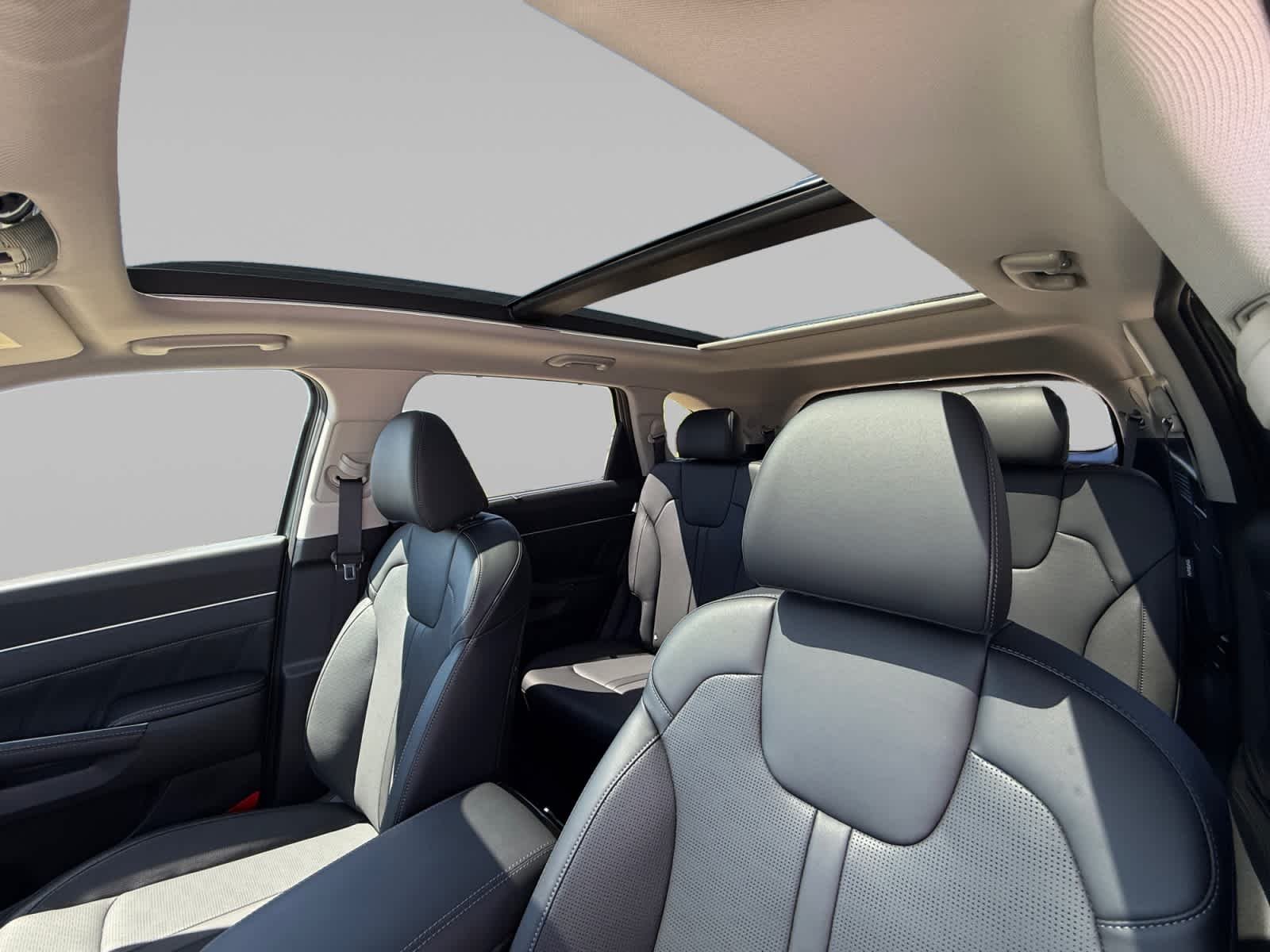 New 2026 Jungle Green Kia X-Line SX image 12