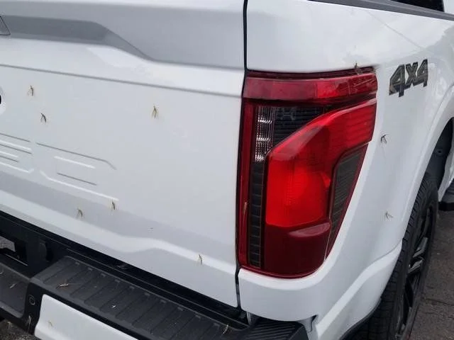 New 2026 Oxford White Ford XLT image 7
