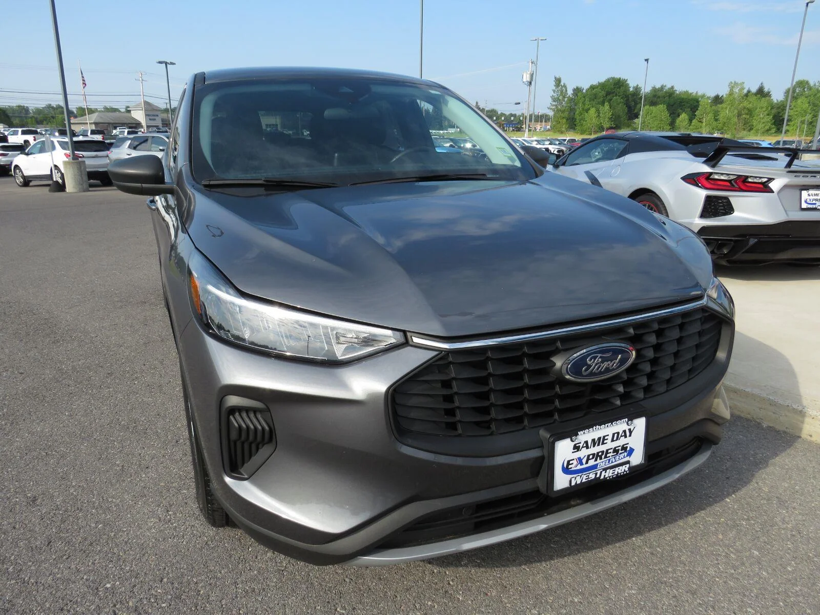 Used 2023  Ford Active image 3