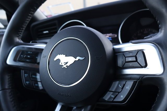 Used 2019 Gray Ford EcoBoost image 12
