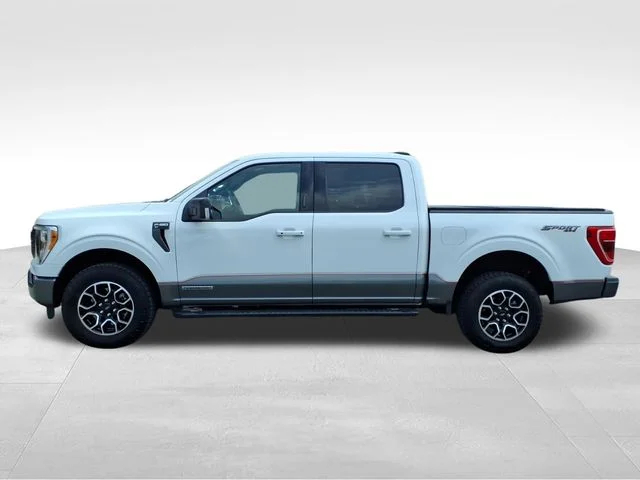 Used 2022 White Ford XLT image 7