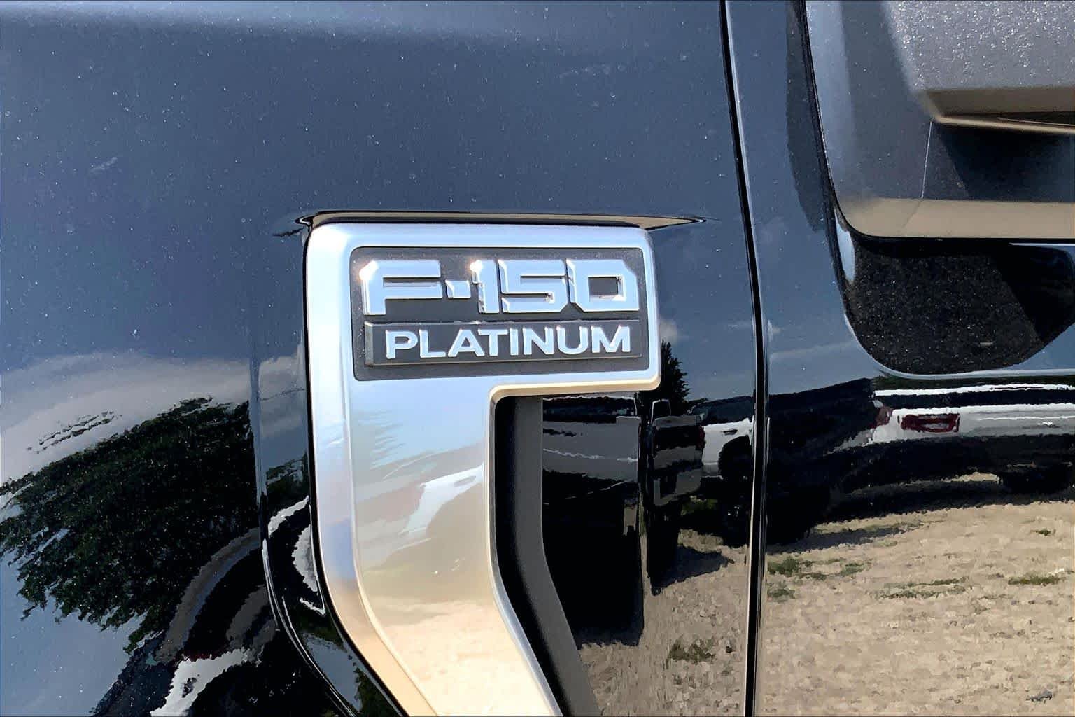 New 2026 Agate Black Metallic Ford Platinum® image 14