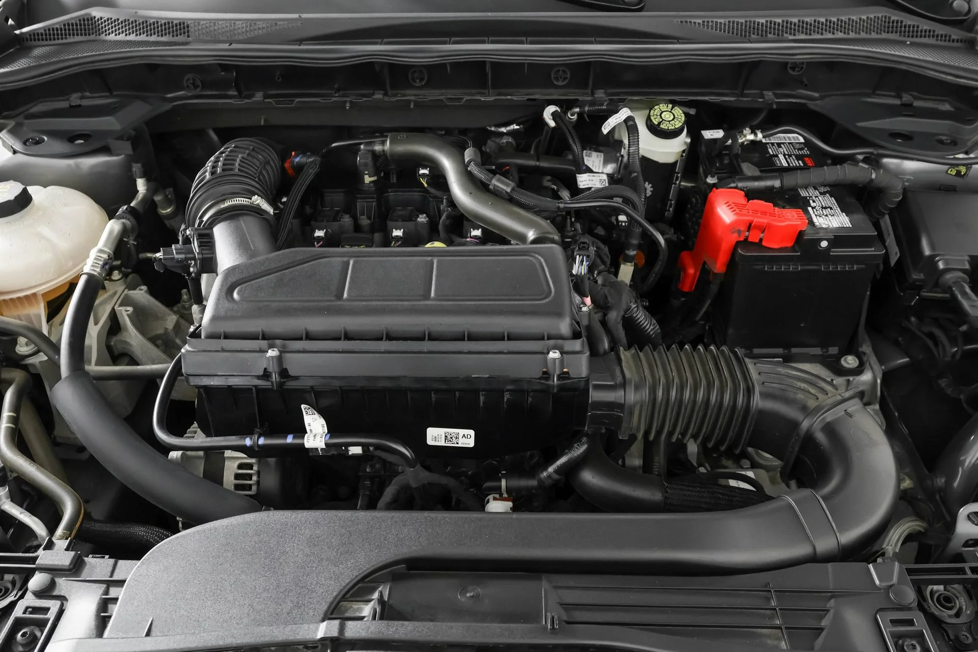 Used 2024 Gray Ford Active image 48