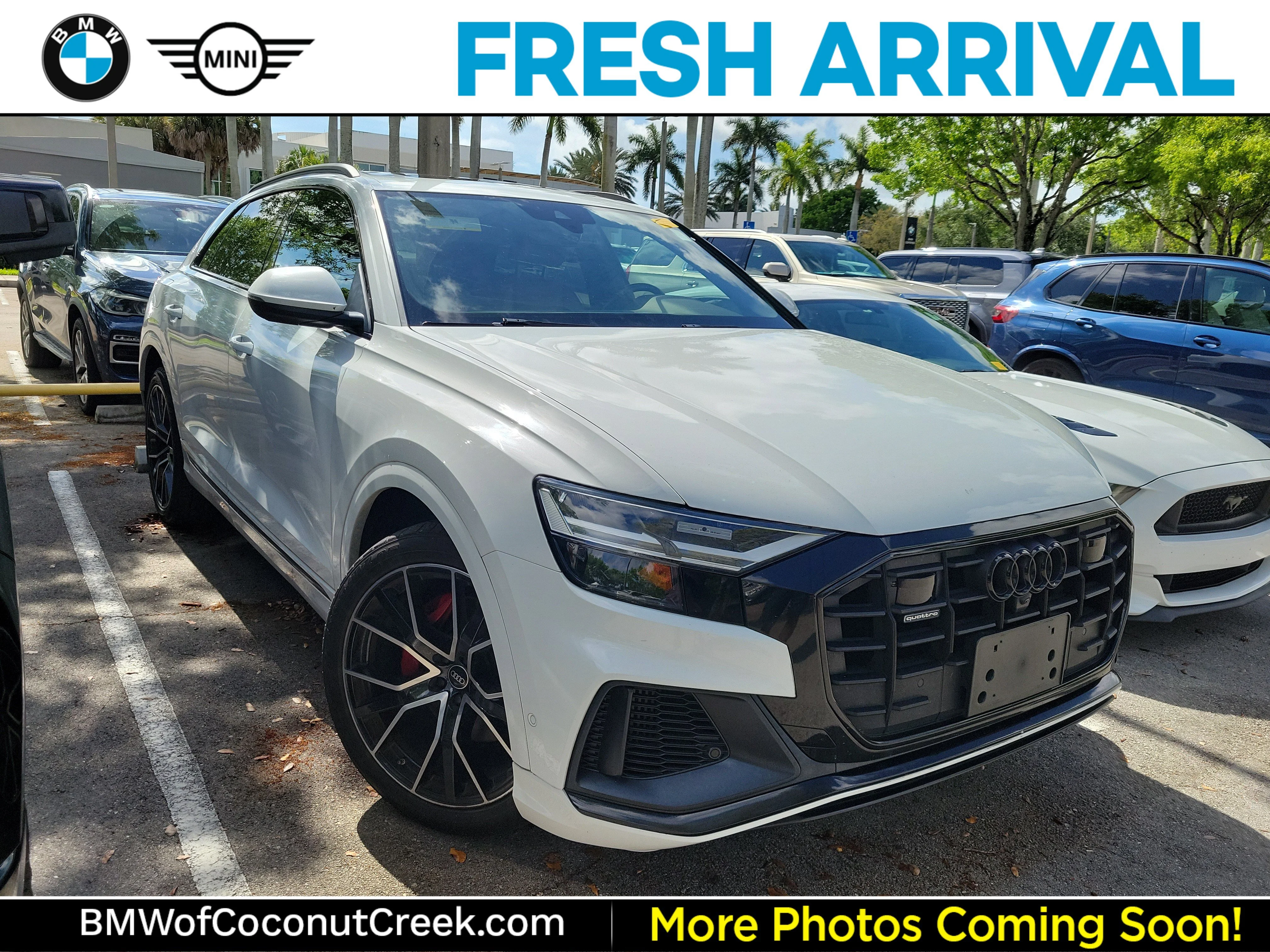 2022 Audi Q8 55 Premium Plus Tiptonic quattro's photo