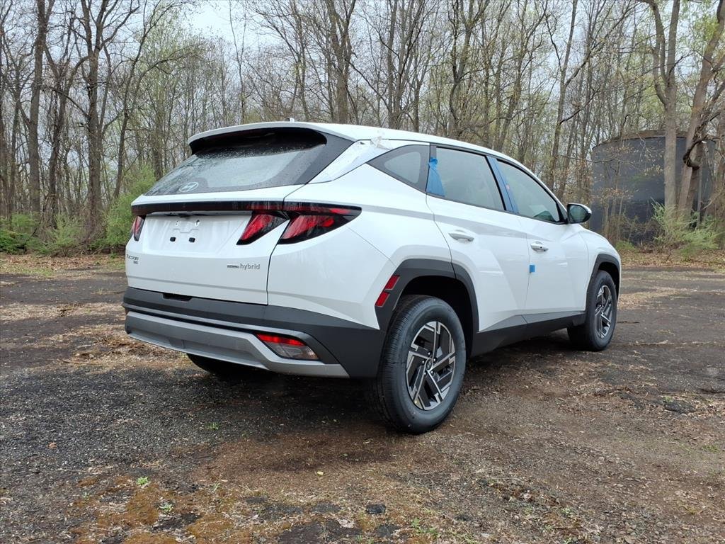 New 2026 Creamy White Pearl Hyundai Blue image 5