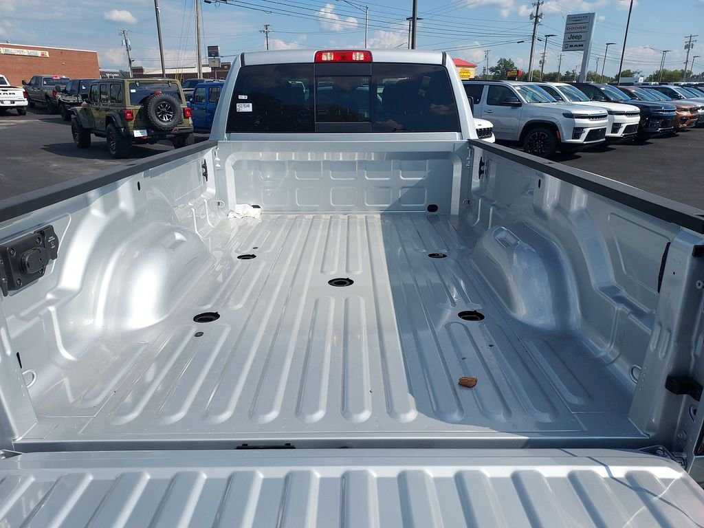 New 2027 Silver-Zynith Exterior Paint RAM Tradesman image 9