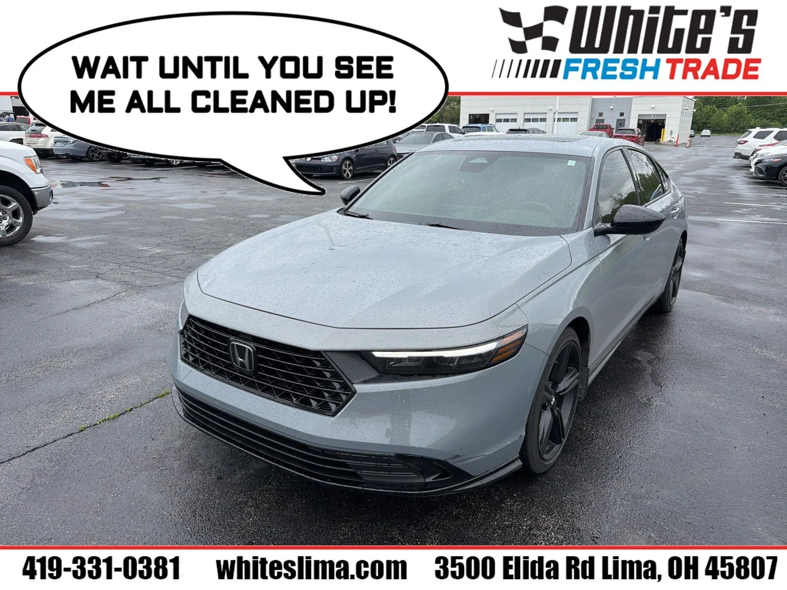 2024 Honda Accord Hybrid Sport-L's photo