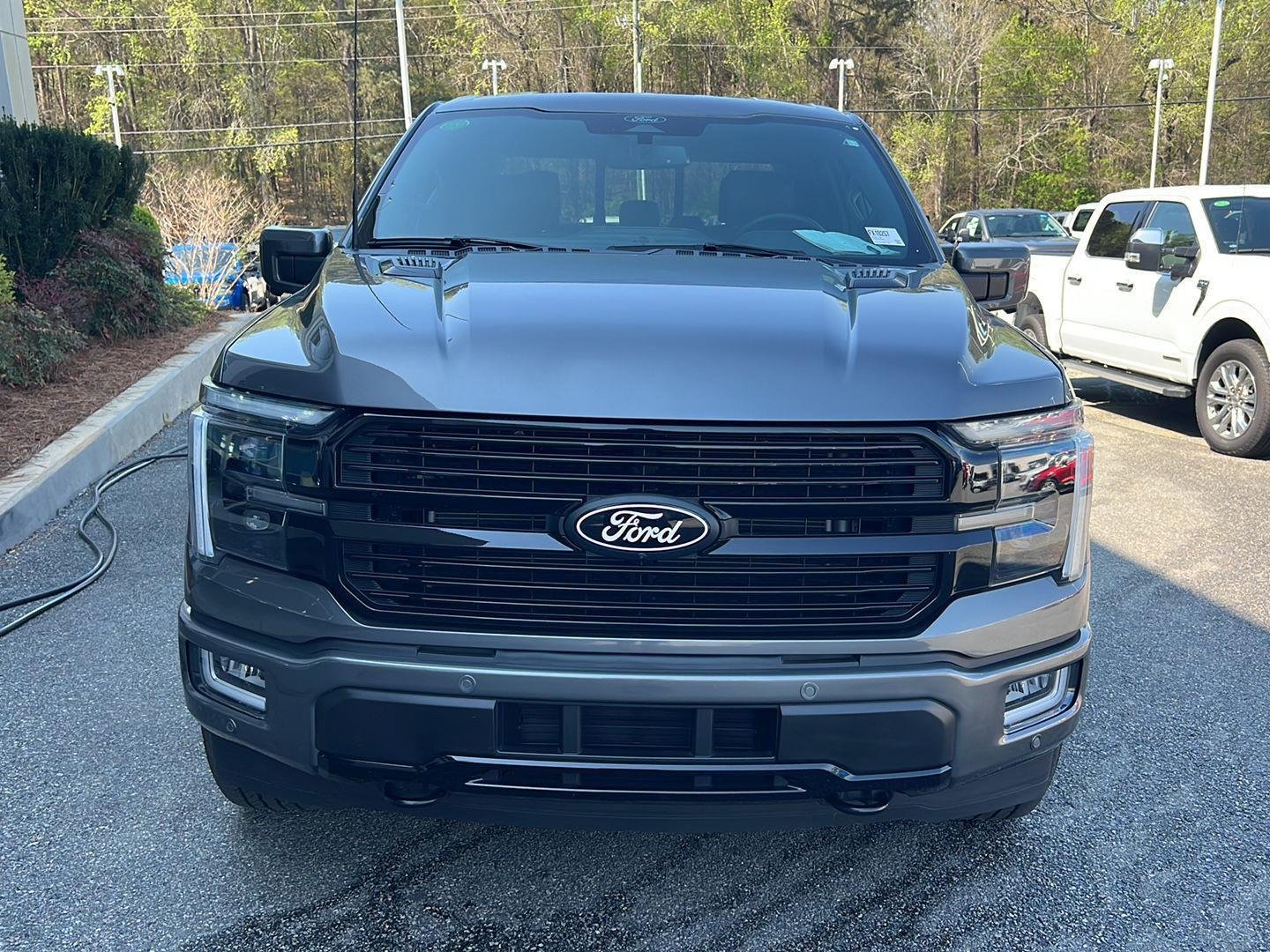 2024 Ford F-150 Platinum - Photo 9