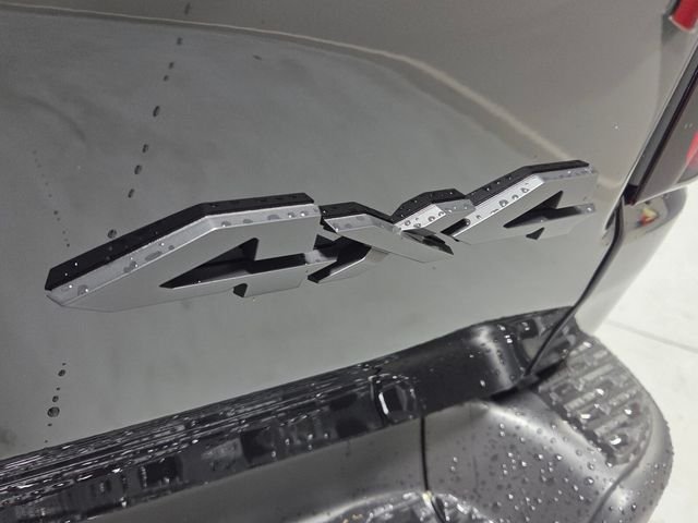 New 2026 Diamond Black Crystal Pearl-Coat Exterior Paint RAM Rebel image 12