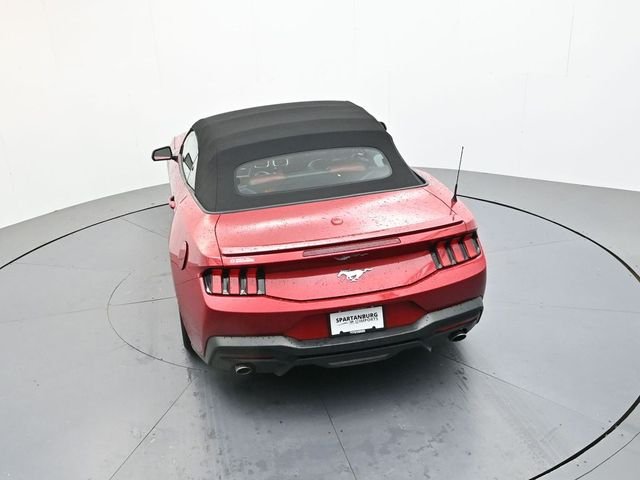 Used 2024 Red Ford EcoBoost Premium image 19