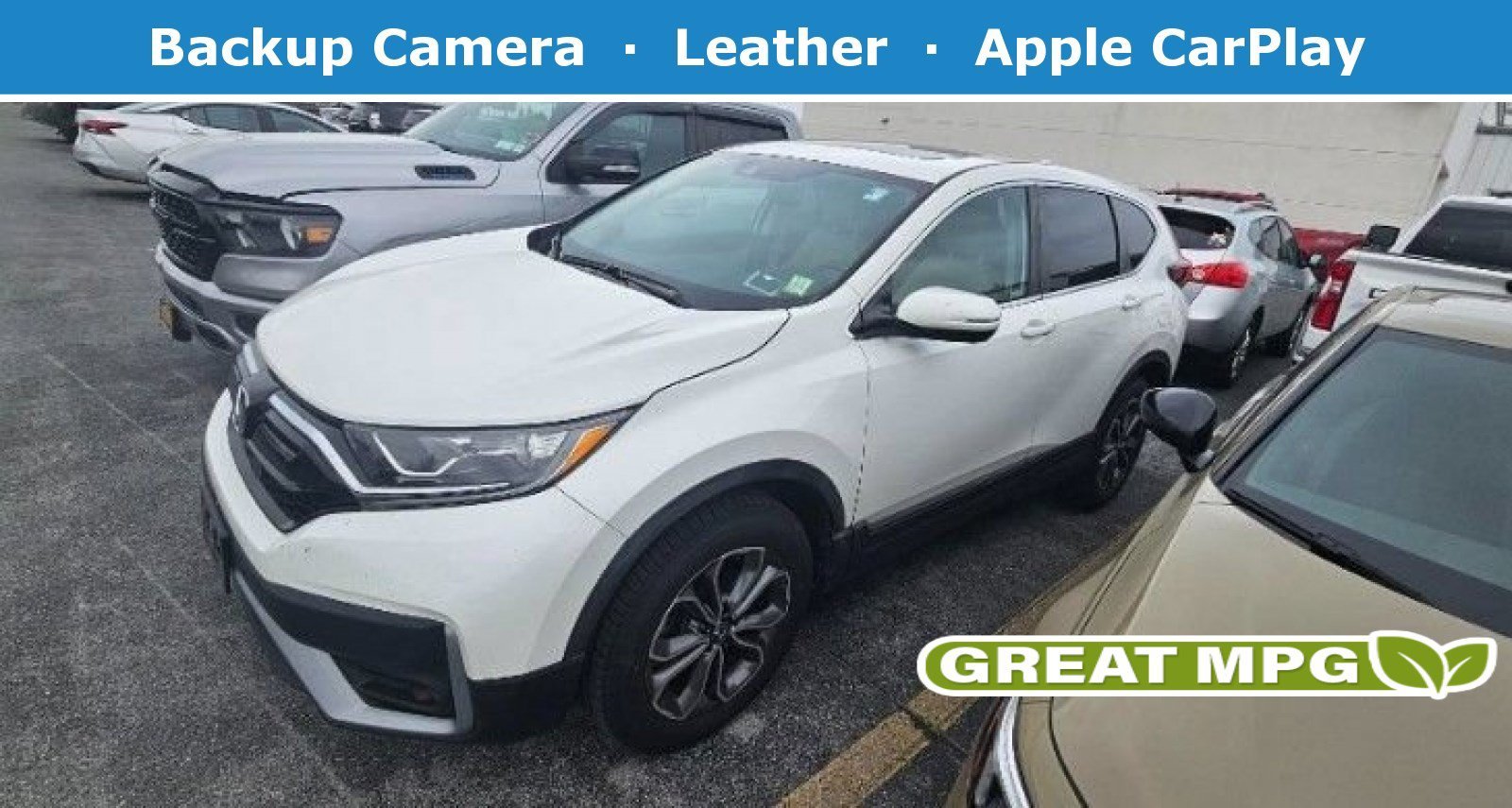 Used 2021 Platinum White Pearl Honda EX-L image 1