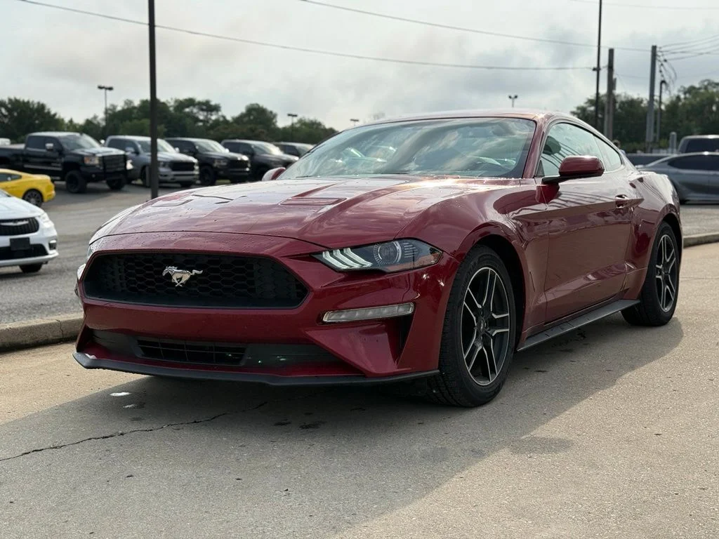 Used 2019 Ford Mustang EcoBoost with VIN 1FA6P8TH9K5167958 for sale in Crestwood, KY