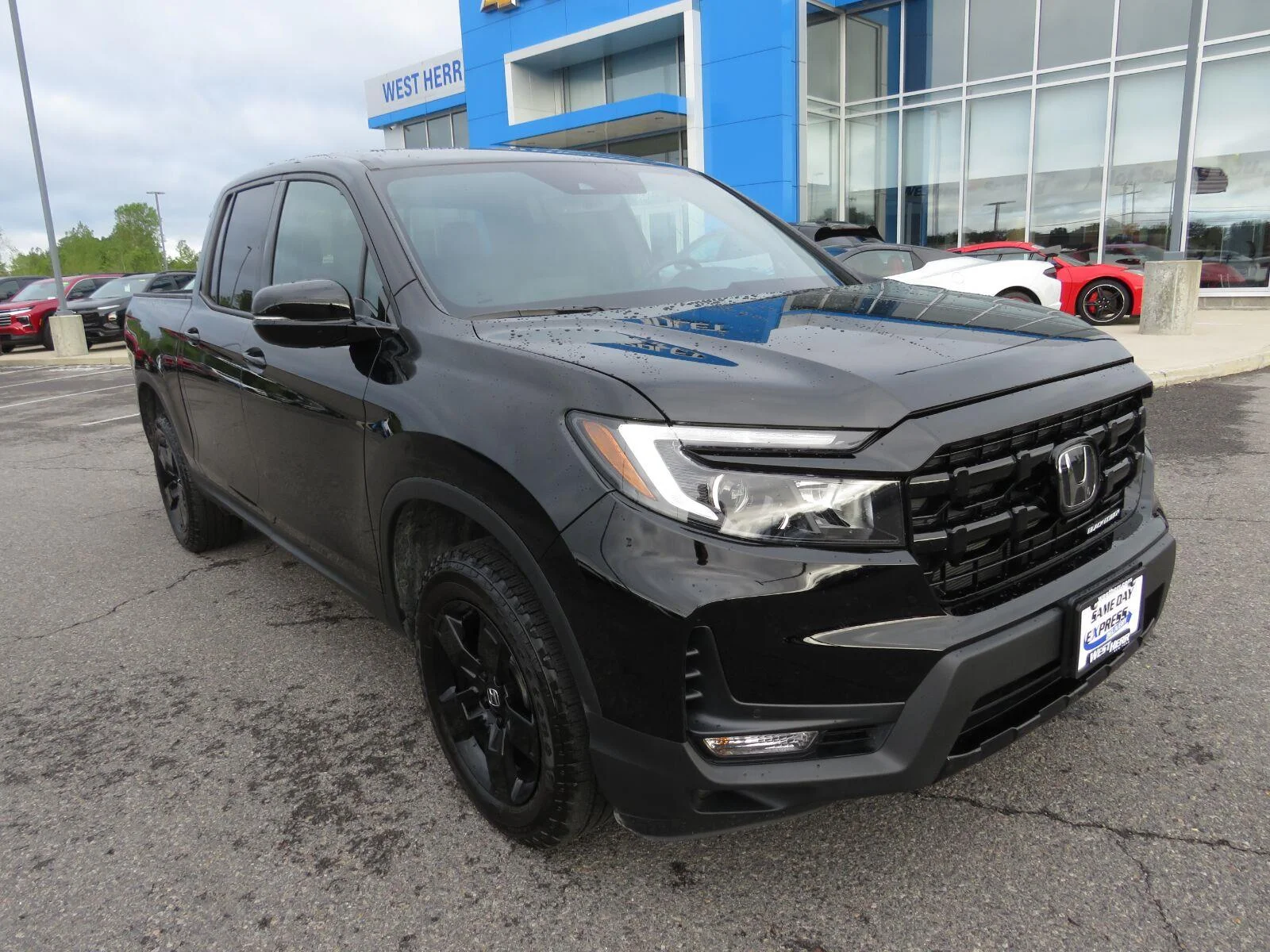 Used 2024  Honda Black Edition image 2