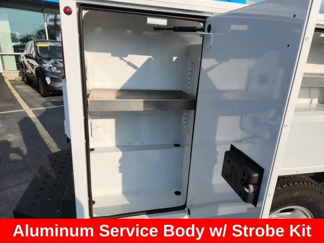 Used 2024 Summit White Chevrolet WT image 14