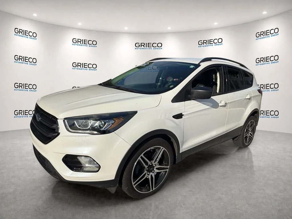 Used 2019 White Ford SEL image 3