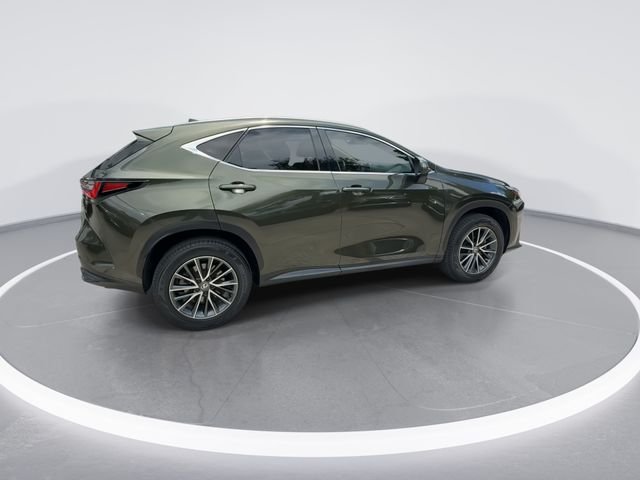 2025 Lexus NX 250 - Photo 8
