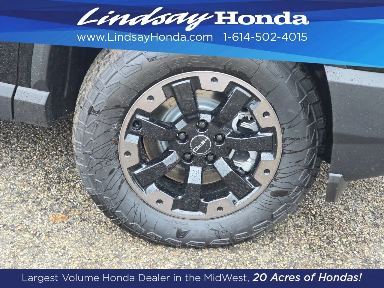 New 2026 Crystal Black Pearl Honda TrailSport Elite image 14