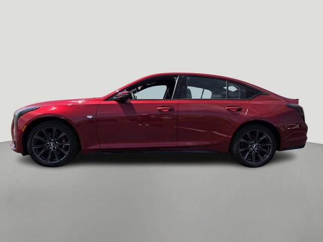 New 2026 Radiant Red Tintcoat Cadillac Sport image 2