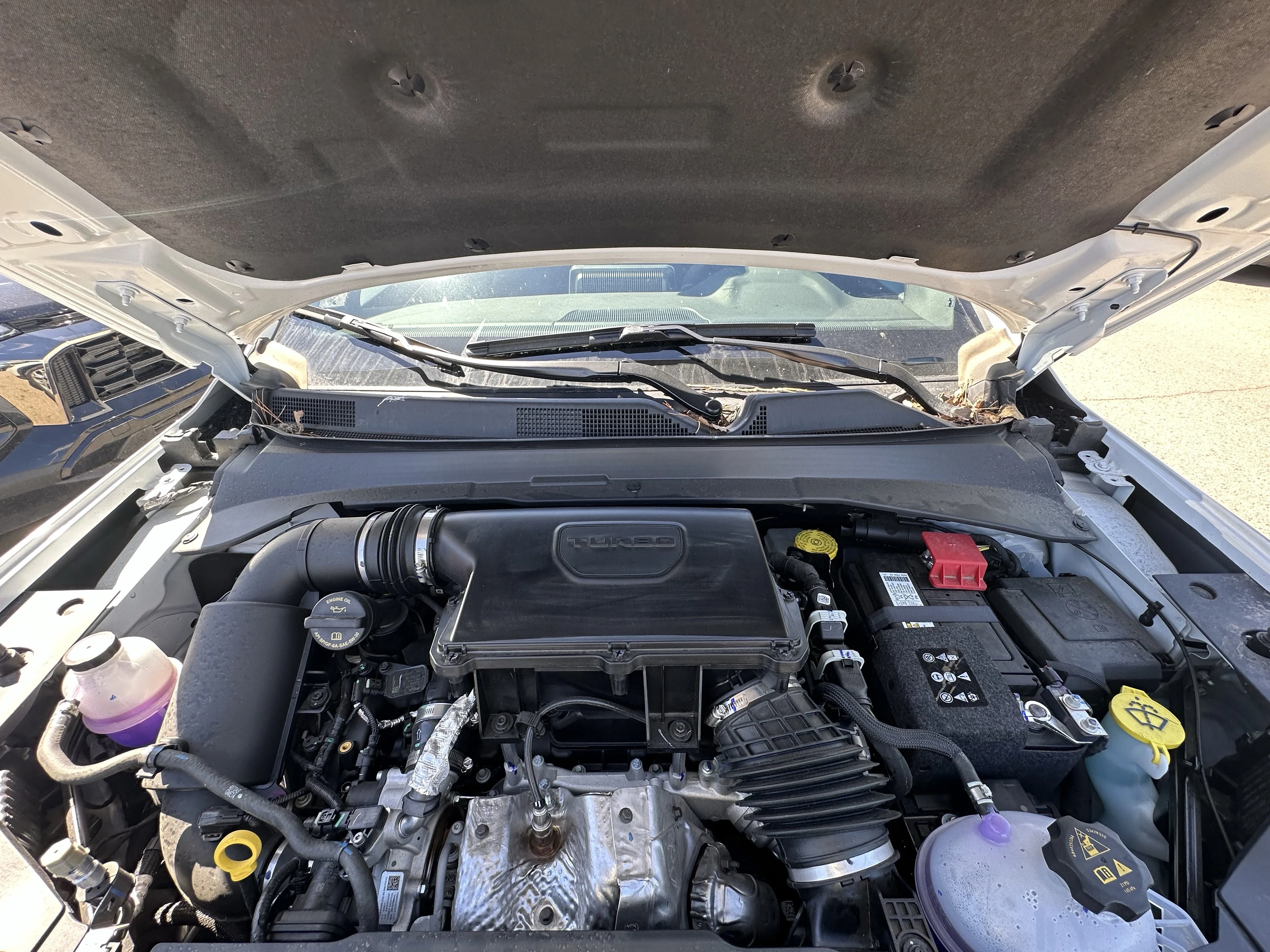 Certified Used 2026 Bright White Jeep Sport image 7