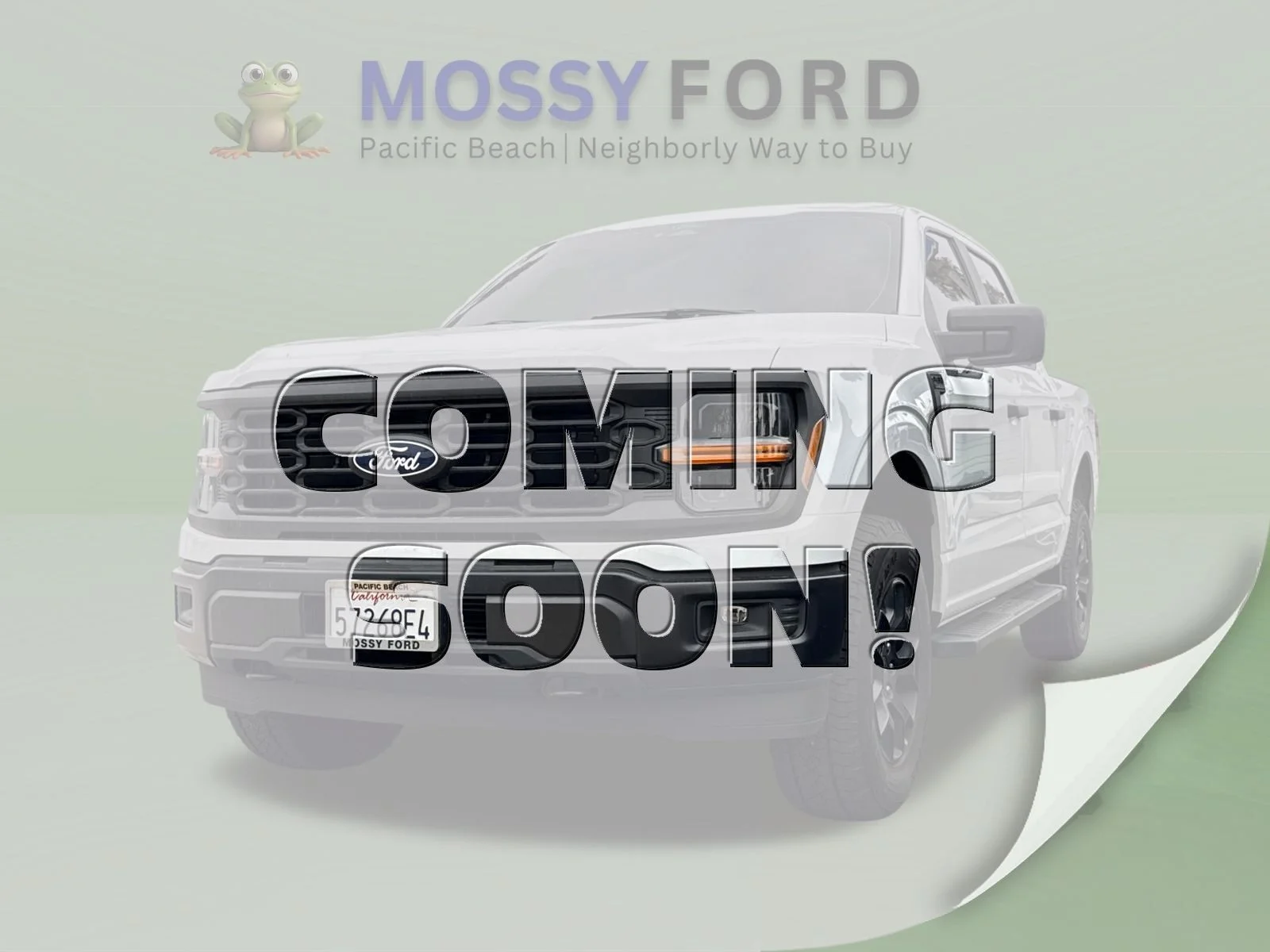 Used 2024 White Ford STX image 1